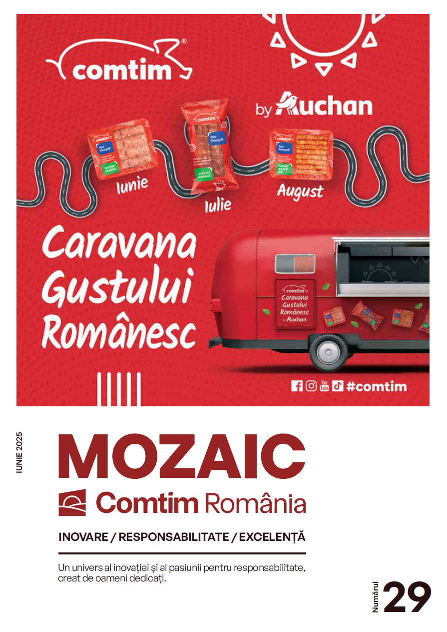 Revista Mozaic nr.29